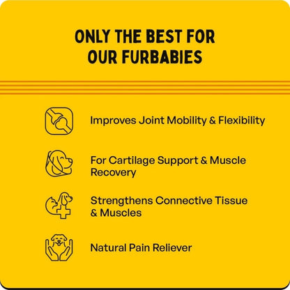 Furlicks Hip & Joint Supplement for Dogs & Cats | Marine Collagen & Calcium for Joint Mobility, Lubrication, Bone Support & Pain Relief (30 Oral Dissolving Strips)