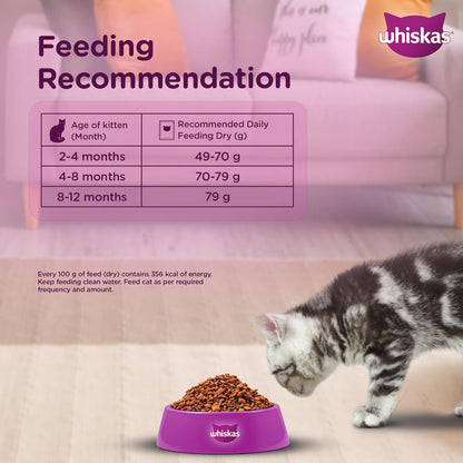 Whiskas Junior Mother Cat & Kitten (2-12 Months) Dry Cat Food, Ocean Fish Flavour, Contains 41 Essential Nutrients, Complete & Balanced Nutrition for Mother Cats & Kittens