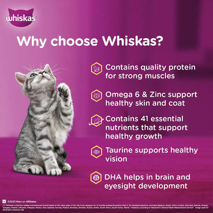 व्हिस्कास जूनियर (2-12 महीने) वेट कैट फूड, ग्रेवी में चिकन, सभी नस्लों के बिल्ली के बच्चों के लिए 100% पूर्ण और संतुलित पोषण, 80 ग्राम 